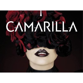 Reneagde Game Studios Vampire: The Masquerade 5th Edition Roleplaying Game Camarilla Sourcebook, Set in the World of Darkness