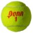 Penn Championship- Regular Duty Felt Pressurized Tennis Balls - 1 Can, 3 Balls