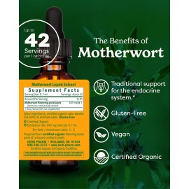 Herb Pharm Certified Organic Motherwort Liquid Extract for Endocrine System Support - 1 Ounce Herb Pharm Certified Organic Motherwort Liquid Extract for Endocrine System Support - 1 Ounce