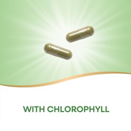 Nature\'s Way Premium Herbal Parsley Leaf Provides Chlorophyll, 100 Vegan Capsules