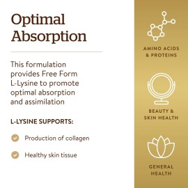 Solgar L-Lysine 1000 mg, 100 Tablets - Enhanced Absorption and Assimilation - Promotes Integrity of Skin and Lips - Collagen Support - Amino Acids - Non GMO, Vegan, Gluten Free - 100 Servings Solgar L-Lysine 1000 mg, 100 Tablets - Enhanced Absorption and Assimilation - Promotes Integrity of Skin and Lips - Collagen Support - Amino Acids - Non GMO, Vegan, Gluten Free - 100 Servings
