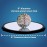 Toysmith Eulers Disk - Create A Hypnotic Display of Light & Sound- Science Desk Decor for Home and Office - Physics Toys for Adults & Kids 8+