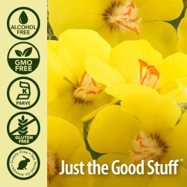 Nature\'s Answer Mullein Drops for Lungs, Alcohol-Free, 1 Ounce Mullein Leaf Extract for Lungs, Supports Respiratory Function, Promotes Healthy Lungs, Non-GMO, Made in USA