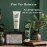 The Grandpa Soap Company Pine Tar Shampoo - Cleanses and Moisturizes Dry Scalp, With Pine Tar and Tea Tree Oil, All Hair Types, Vegan, Sulfates and Parabens Free, 8 Fl Oz