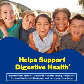 Lil Critters Probiotic Daily Gummy Supplement for Kids, for Digestive Health Support, Grape, Cherry and Orange Flavors, 60 Gummies Lil Critters Probiotic Daily Gummy Supplement for Kids, for Digestive Health Support, Grape, Cherry and Orange Flavors, 60 Gummies