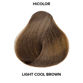 L\'OREAL TECHNIQUE HiColor Browns & Blondes Permanent Hair Color - Lifts Dark Hair in One Step Leaving No Brassiness, Rich and Smooth Creme Formula, Intense & Long-Lasting, H2 Cool Light Brown L\'OREAL TECHNIQUE HiColor Browns & Blondes Permanent Hair Color - Lifts Dark Hair in One Step Leaving No Brassiness, Rich and Smooth Creme Formula, Intense & Long-Lasting, H2 Cool Light Brown