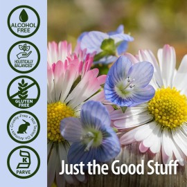 Nature\'s Answer Eyebright Extract 1 Ounce | Vision & Eye Support | Alcohol Free, Vegan, Non GMO, Gluten Free, Kosher | Quick Absorption | Single Count Nature\'s Answer Eyebright Extract 1 Ounce | Vision & Eye Support | Alcohol Free, Vegan, Non GMO, Gluten Free, Kosher | Quick Absorption | Single Count