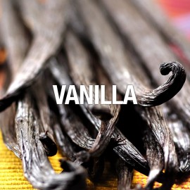 Curve Women\'s Perfume, Eau De Toilette Spray, Curve Crush, 3.4 Fl Oz