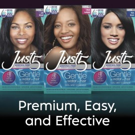 Just 5 Women\'s 5 Minute Permanent Hair Color with Conditioner, Grey Hair Coloring for Women - Jet Black