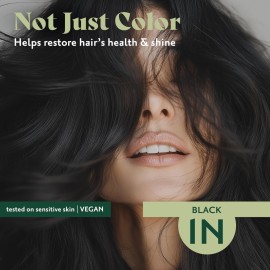 Herbatint Permanent Haircolor Gel, 1N Black, Alcohol Free, Vegan, 100% Grey Coverage - 4.56 oz Herbatint Permanent Haircolor Gel, 1N Black, Alcohol Free, Vegan, 100% Grey Coverage - 4.56 oz