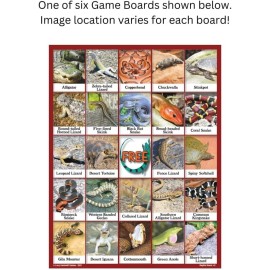 Lucy Hammett Games Reptile Bingo - Educational & Fun Game with 6 Picture Boards, 42 Informative Cards and Bingo Chips for Kids and Families Lucy Hammett Games Reptile Bingo - Educational & Fun Game with 6 Picture Boards, 42 Informative Cards and Bingo Chips for Kids and Families