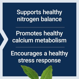 Life Extension L-Lysine, 620 mg, Essential Amino Acid for Healthy nitrogen Balance, Calcium Metabolism, Stress Response & More, Gluten-Free, Non-GMO, Vegetarian, 100 Capsules