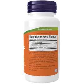 NOW Foods Immune Support Supplements, Astragalus Extract 500 mg (Standardized to 70% Polysaccharides), 90 Veg Capsules NOW Foods Immune Support Supplements, Astragalus Extract 500 mg (Standardized to 70% Polysaccharides), 90 Veg Capsules