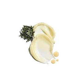 Jack Black Intense Therapy Lip Balm, 0.25-Oz. - Natural Mint & Shea Butter, SPF 25 Sun Protection, Lip Moisturizer, Hydrating Lip Balm with SPF, Long Lasting Treatment Jack Black Intense Therapy Lip Balm, 0.25-Oz. - Natural Mint & Shea Butter, SPF 25 Sun Protection, Lip Moisturizer, Hydrating Lip Balm with SPF, Long Lasting Treatment