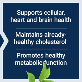 Life Extension Decaffeinated Mega Green Tea Extract - Polyphenol-Rich, Cell Health, Heart Health, Brain Health, Antioxidant Protection - Non-GMO, Gluten-Free, Vegetarian - 100 Capsules Life Extension Decaffeinated Mega Green Tea Extract - Polyphenol-Rich, Cell Health, Heart Health, Brain Health, Antioxidant Protection - Non-GMO, Gluten-Free, Vegetarian - 100 Capsules