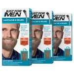 Just For Men Mustache & Beard, Beard Dye for Men with Brush Included, With Keratin Biotin Aloe and Coconut Oil for Healthy Facial Hair - Light Brown, M-25, Pack of 3 (Packaging May Vary)