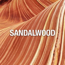 Giorgio Beverly Hills Red Perfume for Women, 3 fl. oz. EDT Spray