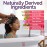 Fairy Tales Rosemary Repel Daily Kids Conditioning Spray - Kids Like the Smell, Lice Do Not, 8 fl oz. (Pack of 1)