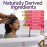 Fairy Tales Rosemary Repel Daily Kids Shampoo- Kids Like the Smell, Lice Do Not, 12 fl oz. (Pack of 1)