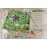 Late for the Sky Forest Animal-opoly