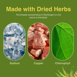 Herbs Etc. ChlorOxygen Chlorophyll Concentrate - Highly-Concentrated Energy Support - Aids Healthy Blood Circulation - Natural Vitality Support - Alcohol-Free - 2 fl oz (About 132 Servings) Herbs Etc. ChlorOxygen Chlorophyll Concentrate - Highly-Concentrated Energy Support - Aids Healthy Blood Circulation - Natural Vitality Support - Alcohol-Free - 2 fl oz (About 132 Servings)
