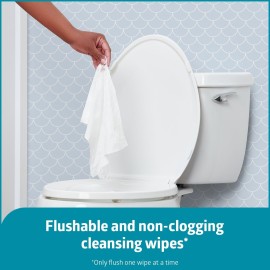 Medline ReadyFlush Flushable Wipes (60 Wipes per Tub), Scented, Biodegradable Flushable Incontinence Wet Wipes for Adults with Aloe, Hypoallergenic & pH-Balanced Personal Cleansing Cloths Medline ReadyFlush Flushable Wipes (60 Wipes per Tub), Scented, Biodegradable Flushable Incontinence Wet Wipes for Adults with Aloe, Hypoallergenic & pH-Balanced Personal Cleansing Cloths