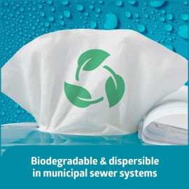 Medline ReadyFlush Flushable Wipes (60 Wipes per Tub), Scented, Biodegradable Flushable Incontinence Wet Wipes for Adults with Aloe, Hypoallergenic & pH-Balanced Personal Cleansing Cloths Medline ReadyFlush Flushable Wipes (60 Wipes per Tub), Scented, Biodegradable Flushable Incontinence Wet Wipes for Adults with Aloe, Hypoallergenic & pH-Balanced Personal Cleansing Cloths