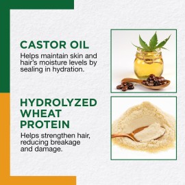 Clubman Pinaud Hard to Hold Styling Gel, Firm Hold with Incredible Shine, 16 oz Clubman Pinaud Hard to Hold Styling Gel, Firm Hold with Incredible Shine, 16 oz