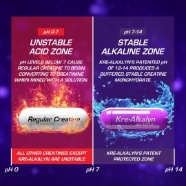 EFX Sports Kre-Alkalyn EFX | pH Correct Creatine Monohydrate Pill Supplement | Strength, Muscle Growth & Performance | 60 Servings, 120 Capsules EFX Sports Kre-Alkalyn EFX | pH Correct Creatine Monohydrate Pill Supplement | Strength, Muscle Growth & Performance | 60 Servings, 120 Capsules