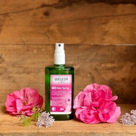 Weleda Wild Rose 24h Deodorant Spray, 3.4 Ounce Weleda Wild Rose 24h Deodorant Spray, 3.4 Ounce
