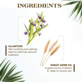 GiGi Hair Removal Wax Strips for Body - Pre-Waxed with GiGi All-Purpose Honee Formula, Waxing Kit For Women, 12 Strips + After Wax Lotion