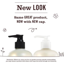 MRS. MEYER\'S CLEAN DAY Liquid Hand Soap, Cruelty Free and Biodegradable Hand Wash Made with Essential Oils, Basil Scent, 12.5 oz - Pack of 6 MRS. MEYER\'S CLEAN DAY Liquid Hand Soap, Cruelty Free and Biodegradable Hand Wash Made with Essential Oils, Basil Scent, 12.5 oz - Pack of 6