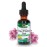Nature\'s Answer PAU D\'Arco Inner Bark | Supports Immune System | Helps Maintain Intestinal Flora | Alcohol-Free, Gluten-Free, Kosher Certified & No Preservatives 1oz Extract | Single Count