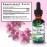 Nature\'s Answer PAU D\'Arco Inner Bark | Supports Immune System | Helps Maintain Intestinal Flora | Alcohol-Free, Gluten-Free, Kosher Certified & No Preservatives 1oz Extract | Single Count