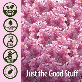 Nature\'s Answer PAU D\'Arco Inner Bark | Supports Immune System | Helps Maintain Intestinal Flora | Alcohol-Free, Gluten-Free, Kosher Certified & No Preservatives 1oz Extract | Single Count Nature\'s Answer PAU D\'Arco Inner Bark | Supports Immune System | Helps Maintain Intestinal Flora | Alcohol-Free, Gluten-Free, Kosher Certified & No Preservatives 1oz Extract | Single Count