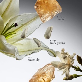 philosophy pure grace body spray - crisp & clean women\'s scent - with notes of water lily, leafy greens & musk - luxury body spritz for women - long lasting fragrance - 8 fl oz. philosophy pure grace body spray - crisp & clean women\'s scent - with notes of water lily, leafy greens & musk - luxury body spritz for women - long lasting fragrance - 8 fl oz.