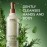 Aveda Rosemary Mint Hand & Body Wash | Liquid Hand Soap and Body Wash | with Invigorating Aroma of Certified Organic Peppermint & Rosemary, 33.8 Fl Oz