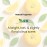 ShiKai Daily Moisturizing Shower Gel (Yuzu, 12oz, Pack of 3) | Gentle Formula | Aloe Vera & Oatmeal for Soft, Healthy Skin | Dry Skin Relief