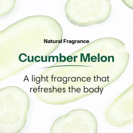 ShiKai Daily Moisturizing Shower Gel (Cucumber Melon, 12oz, Pack of 3) | Gentle Formula | Aloe Vera & Oatmeal for Soft, Healthy Skin | Dry Skin Relief