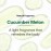 ShiKai Daily Moisturizing Shower Gel (Cucumber Melon, 12oz, Pack of 3) | Gentle Formula | Aloe Vera & Oatmeal for Soft, Healthy Skin | Dry Skin Relief