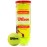 WILSON Championship Tennis Balls - Extra Duty, Single Can (3 Balls)