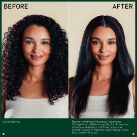 Aveda Brilliant Shampoo | Adds Shine | Deeply Cleanses Hair | Removes Product Build-Up | for All Hair Types, 8.5 Fl Oz Aveda Brilliant Shampoo | Adds Shine | Deeply Cleanses Hair | Removes Product Build-Up | for All Hair Types, 8.5 Fl Oz