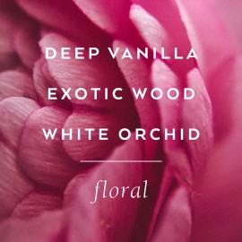 TOKYOMILK Dead Sexy Eau de Parfum, 1 fl. oz, Deep Vanilla, Exotic Wood, White Orchid & Ebony Fragrances, Mini Perfume for Women, Travel Size Luxury Cologne TOKYOMILK Dead Sexy Eau de Parfum, 1 fl. oz, Deep Vanilla, Exotic Wood, White Orchid & Ebony Fragrances, Mini Perfume for Women, Travel Size Luxury Cologne