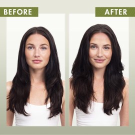 Klorane - Dry Shampoo Powder With Oat Milk - Eco Friendly Non-Aerosol Formula - Gentle Formula Instantly Revives Hair - Paraben & Sulfate-Free - 1.7 Oz Klorane - Dry Shampoo Powder With Oat Milk - Eco Friendly Non-Aerosol Formula - Gentle Formula Instantly Revives Hair - Paraben & Sulfate-Free - 1.7 Oz