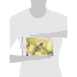 Outset Media What Bird Am I? - The Bird Identification Game - Contains 300 Cards for 2 or More Players Ages 14 and up