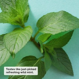 eos 100% Natural & Organic Lip Balm- Sweet Mint, Dermatologist Recommended, All-Day Moisture, Made for Sensitive Skin, Lip Care Products, 0.25 oz eos 100% Natural & Organic Lip Balm- Sweet Mint, Dermatologist Recommended, All-Day Moisture, Made for Sensitive Skin, Lip Care Products, 0.25 oz