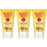 Burt\'s Bees Deep Cleansing Pore Scrub with Peach and Willow Bark, 4 Ounces, Pack of 3