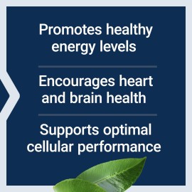 Life Extension L-Carnitine - 500 mg, Energy Supplement, Memory Supplement - Free Form Amino Acid, Nitric Oxide Support, Healthy Blood Pressure - Gluten-Free, Non-GMO, Vegetarian - 30 Capsules
