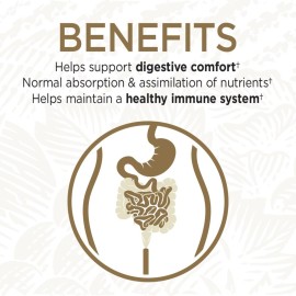 Garden of Life Whole Food Probiotic Supplement - Primal Defense ULTRA Ultimate For Digestive and Gut Health, 216 Vegetarian Capsules Garden of Life Whole Food Probiotic Supplement - Primal Defense ULTRA Ultimate For Digestive and Gut Health, 216 Vegetarian Capsules