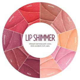 Burt\'s Bees Lip Shimmer, Fig 0.09 oz Burt\'s Bees Lip Shimmer, Fig 0.09 oz